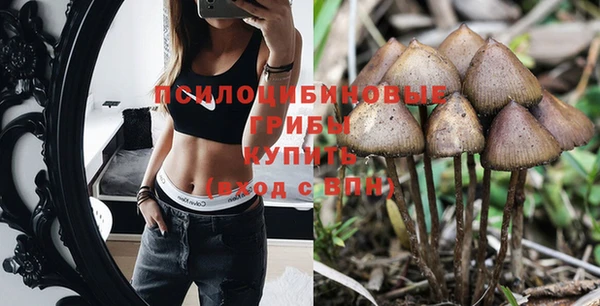 шишки Абинск