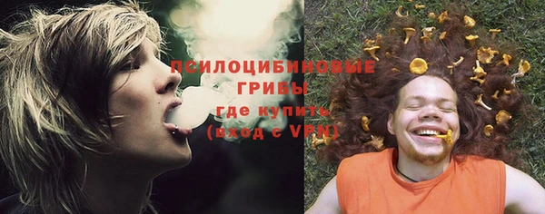 шишки Абинск