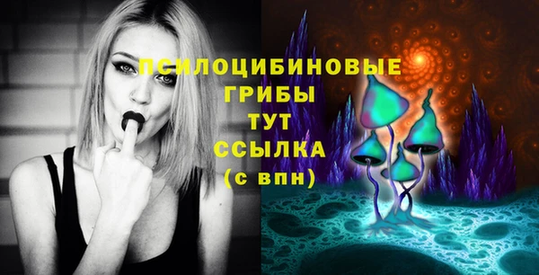 дурь Елизово