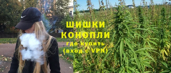 шишки Абинск